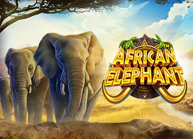 African Elephant cover