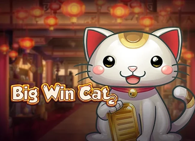 Big Win Cat — official cover