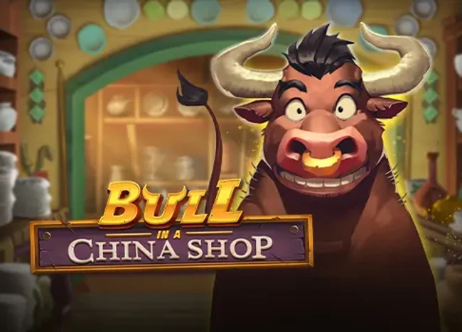 Bull in a China Shop — official cover