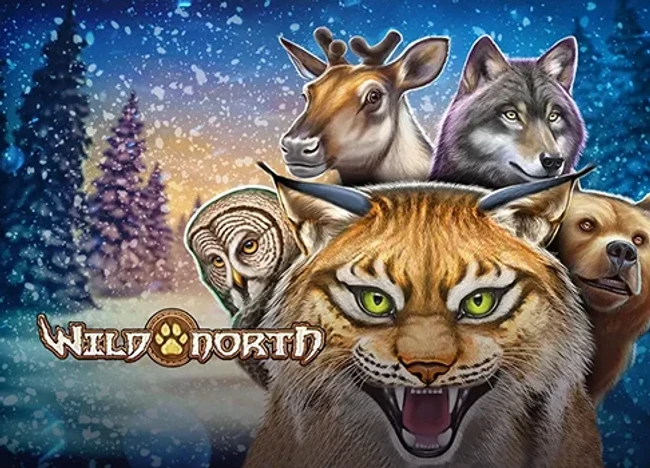 Wild North — official cover