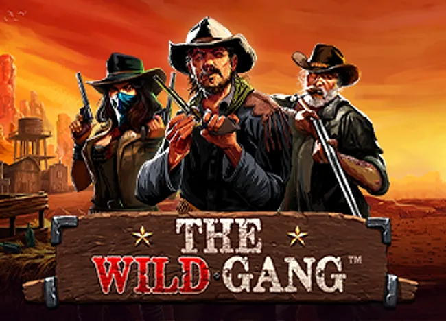 The Wild Gang cover