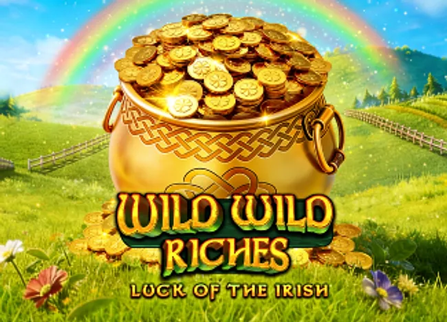 Wild Wild Riches — official cover